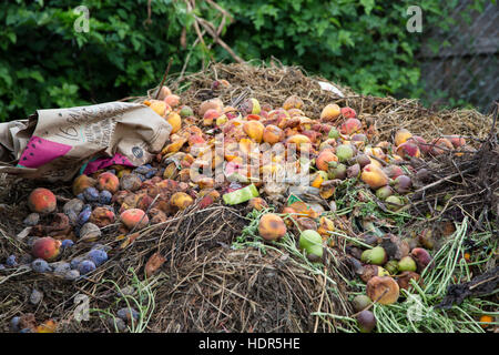 a large compost pile at work in the backyard of a house in the Midwest Stock Photo