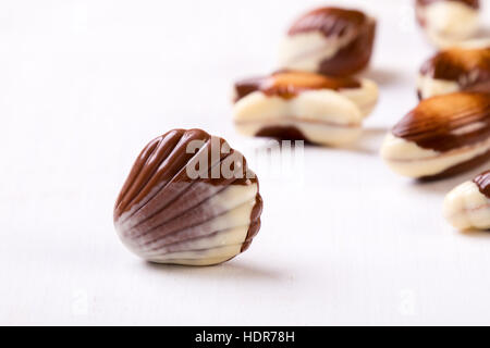 sweet delicious gourmet chocolate seashell on white table Stock Photo