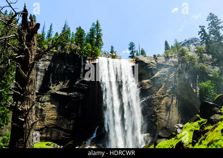 Vernal Fall is a 317 feet waterfall on the Merced River just downstream of Nevada Fall in Yosemite National Park, California. Vernal Fall, as well as Stock Photo