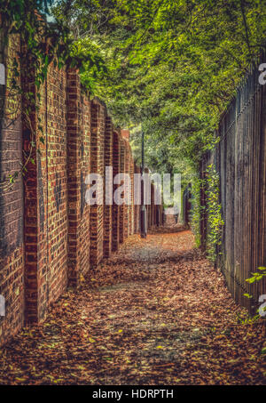 Pathway in one of the London suburbs photographed in autumn Stock Photo