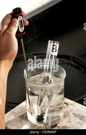 Digital thermometer in beaker of water, close-up available as Framed  Prints, Photos, Wall Art and Photo Gifts