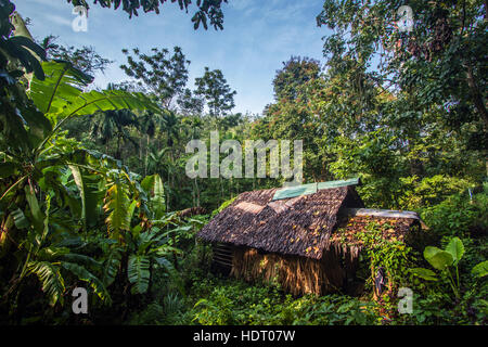 Traditional hut in Koh Muk island, Thailand Stock Photo