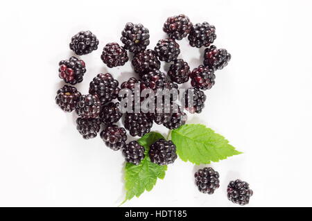 blackberries and green leaves on a white surface Stock Photo