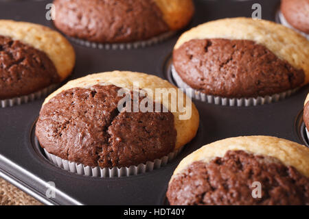 delicious two-color chocolate muffins in baking dish macro, horizontal Stock Photo