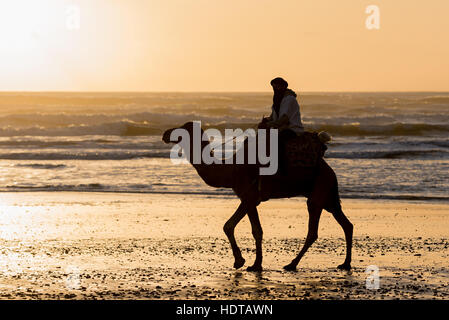 Silhouette of two bedouins on the beach at sunset in Morocco Stock Photo