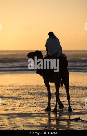 Silhouette of two bedouins on the beach at sunset in Morocco Stock Photo
