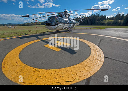 Coulson Seaking S61N Helicopter at Qualm Airport on Vancouver Island British Columbia, Canada.  SCO 11,261. Stock Photo