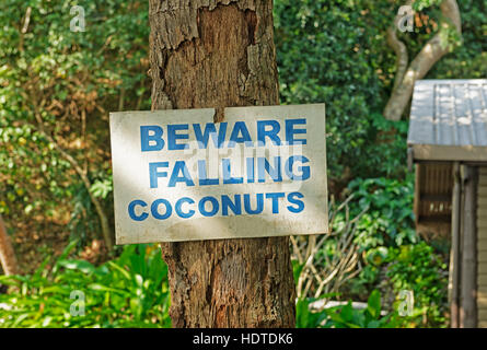 Warning sign on palm tree stating Beware Falling Coconuts, Yasawa, Fiji Stock Photo