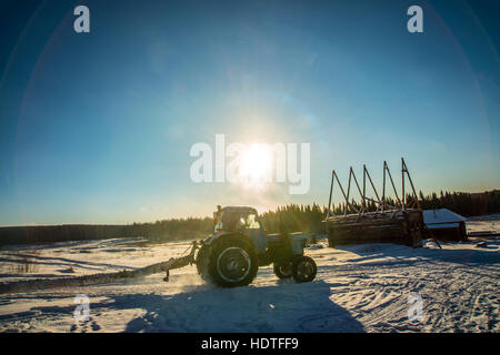 Winter scenery. Logging machine giant wheels equipped with snow chains. tractor drug tree trunk. sunny light. sun rays. transport against wooden house Stock Photo