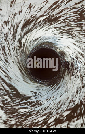 Water vortex / drain / draining away /liquid spiraling down a hole ( like a plug hole / plughole ) in an unseen water feature. Stock Photo