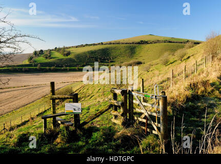 Adam's Grave long barrow, seen from Workway Drove on Knap Hill. Stock Photo