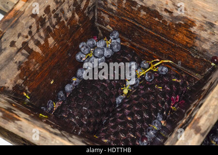 Manual mechanism for crushing grapes. Crush the grapes into juice and wine. Stock Photo