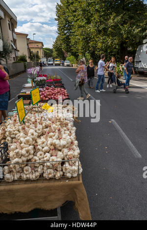 Lucca city street market stretches from the Porta Santa Maria along the Via Borga Giannotti with everything from food to pets. Stock Photo