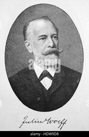 Julius Wolff, 1834 - 1910, German writer and poet, woodcut from the year 1880 Stock Photo