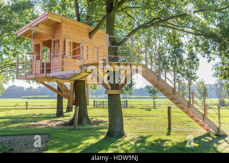 Newly built  wooden tree hut in oak trees with pasture Stock Photo