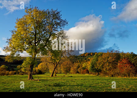 UK,Derbyshire,Peak District,Back Tor and Great Ridge from the Hope Valley in Autumn Stock Photo