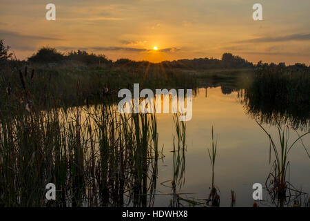 View over freshwater pool and marsh at sunset. RSPB Titchwell Marsh reserve. Norfolk, England. October. Stock Photo