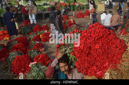 Lahore, Punjab, Pakistan. 14th Dec, 2016. Pakistani Flower wholesalers displays fresh roses and garlands to attract the customers at flowers market(Phool Mandi) in Lahore on december 14, 2016. Asias's Biggest Wholesale Flower Market popularly called as 'phool mandi in lahore While they buy the flowers at dirt cheap rates, but sell them at a much higher prices” Rose and Rose Petals is used to flavour food, to make perfumes, as a component in some cosmetic and medical preparations, and for religious purposes throughout Europe and Asia. © Rana Sajid Hussain/Pacific Press Agency/Alamy Live News Stock Photo