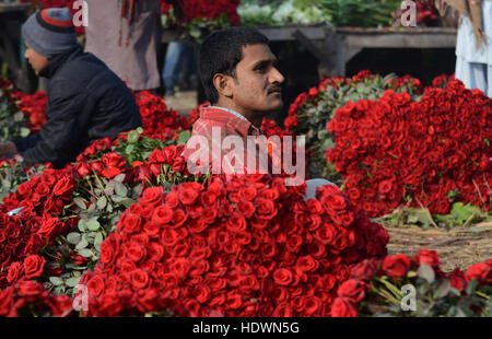 Lahore, Punjab, Pakistan. 14th Dec, 2016. Pakistani Flower wholesalers displays fresh roses and garlands to attract the customers at flowers market(Phool Mandi) in Lahore on december 14, 2016. Asias's Biggest Wholesale Flower Market popularly called as 'phool mandi in lahore While they buy the flowers at dirt cheap rates, but sell them at a much higher prices” Rose and Rose Petals is used to flavour food, to make perfumes, as a component in some cosmetic and medical preparations, and for religious purposes throughout Europe and Asia. © Rana Sajid Hussain/Pacific Press Agency/Alamy Live News Stock Photo