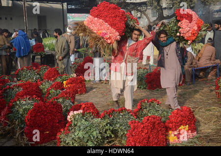 Lahore, Punjab, Pakistan. 14th Dec, 2016. Pakistani Flower wholesalers displays fresh roses and garlands to attract the customers at flowers market(Phool Mandi) in Lahore on december 14, 2016. Asias's Biggest Wholesale Flower Market popularly called as 'phool mandi in lahore While they buy the flowers at dirt cheap rates, but sell them at a much higher prices” Rose and Rose Petals is used to flavour food, to make perfumes, as a component in some cosmetic and medical preparations, and for religious purposes throughout Europe and Asia. © Rana Sajid Hussain/Pacific Press Agency/Alamy Live News Stock Photo