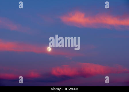 Full moon and clouds at sunset. Stock Photo