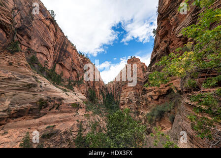 Rugged red cliffs of Zion National Park in Utah Stock Photo
