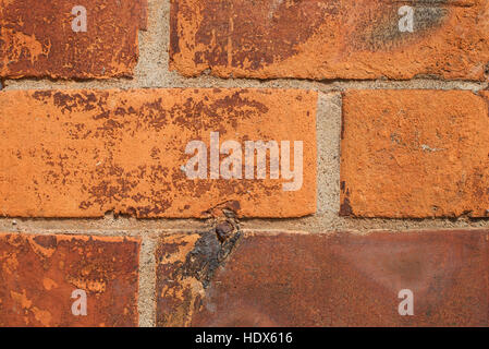 Red Brick Wall background pattern Stock Photo