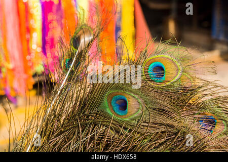 Peacock feathers for religious use are sold at Pashupatinath Temple Stock Photo
