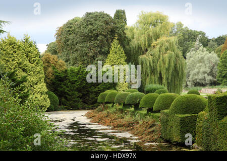 Moat and clipped topiary hedge at Coombe Abbey, Coventry, a popular wedding venue and hotel. Stock Photo