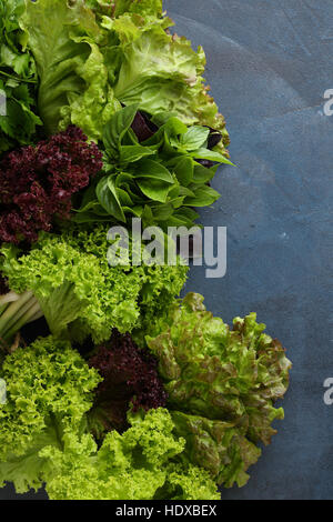 Blue food background with lettuce, basil