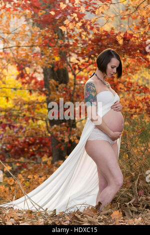 A maternity photo in fall. Stock Photo