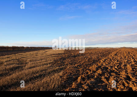 Blue sky over a partially ploughed stubble field and hedgerow on the Yorkshire wolds in autumn. Stock Photo