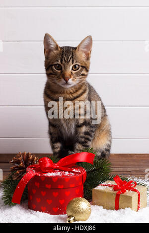 Cute small Bengal kitten and festive gift boxes on snow. holiday card template Stock Photo