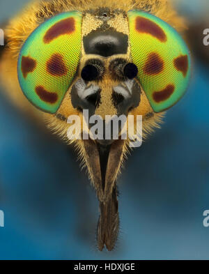 macro shot with using canon Stock Photo