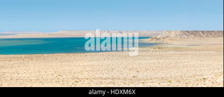 When the Sahara meets the Atlantic Ocean, Western Sahara Stock Photo