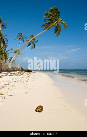 Walking along a beach with Coconut Palms (Cocos nucifera), Punta Cana, Dominican Republic, Central America Stock Photo