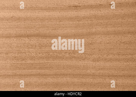 Texture of wood background Stock Photo