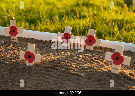 Remembrance day poppys, Ashford, Kent, UK Stock Photo