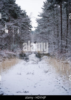 English wintery country scene Stock Photo