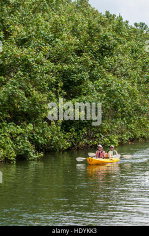 Kayaking on the Wailua River, Kauai, Hawaii. Stock Photo