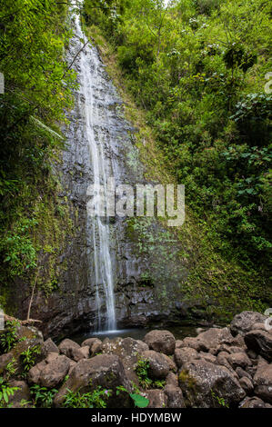 Manoa Falls, Honolulu, Oahu, Hawaii. Stock Photo