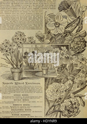 Childs' fall bulbs fall plants fall seeds new shrubs and fruit (1913) Stock Photo