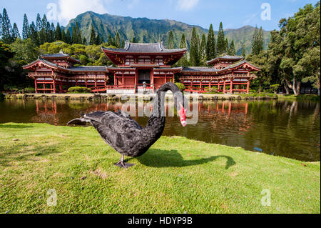 Byodo-In Temple, Valley of The Temples, Kaneohe, Oahu, Hawaii. Stock Photo