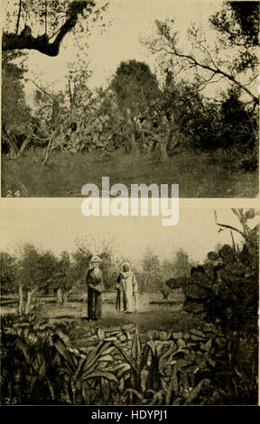 The ban of the Bori; demons and demon-dancing in West and North Africa (1914) Stock Photo