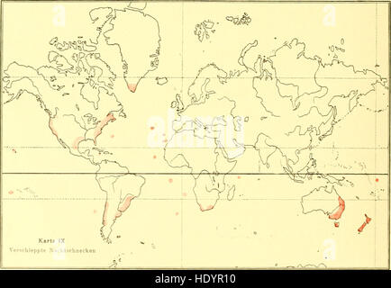 Die geographische Verbreitung der Nacktschnecken (1905) Stock Photo