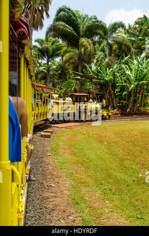 Pineapple Express train at the Dole Plantation, Wahiawa, Oahu, Hawaii. Stock Photo