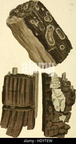 British mineralogy, or, Coloured figures intended to elucidate the mineralogy of Great Britain (1802) Stock Photo