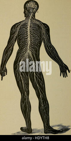 The human body and health - an elementary text-book of essential anatomy, applied physiology and practical hygiene for schools (1908) Stock Photo