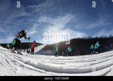 Zhangjiakou, China's Hebei Province. 15th Dec, 2016. Skiers ski at Changchengling Mountain Skiing Field in Chongli District, north China's Hebei Province, Dec. 15, 2016. © Wu Diansen/Xinhua/Alamy Live News Stock Photo