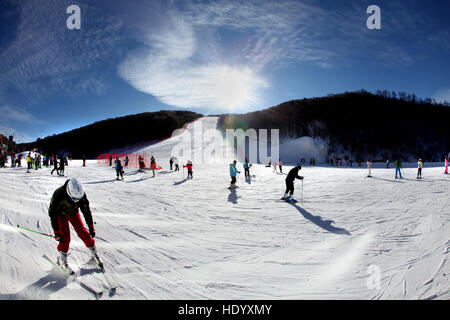 Zhangjiakou, China's Hebei Province. 15th Dec, 2016. Skiers ski at Changchengling Mountain Skiing Field in Chongli District, north China's Hebei Province, Dec. 15, 2016. © Wu Diansen/Xinhua/Alamy Live News Stock Photo